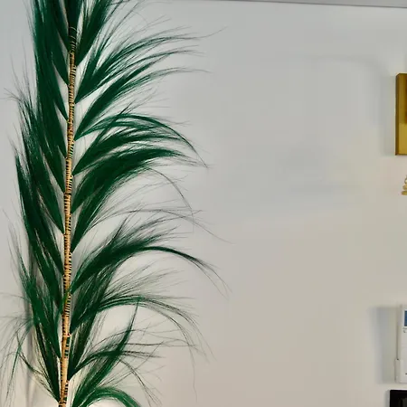 Villa Vanille Cap D Agde Luxe Piscine Chauffée 5 étoiles Le Grau-dʼAgde