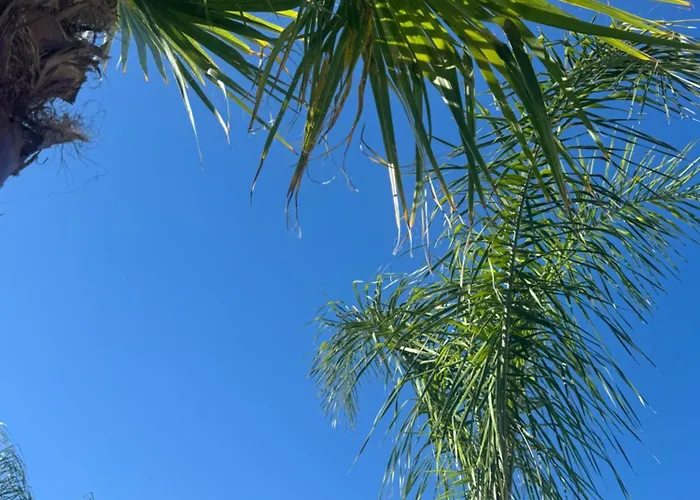 Vanille Cap D Agde Luxe Piscine Chauffée 5 étoiles * Le Grau d'Agde